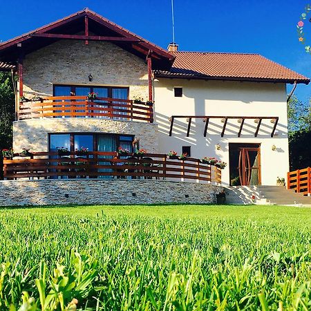 Pensiunea Casa Florela Capusu Mic ภายนอก รูปภาพ