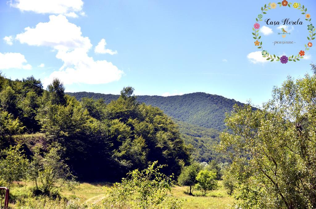 Pensiunea Casa Florela Capusu Mic ภายนอก รูปภาพ