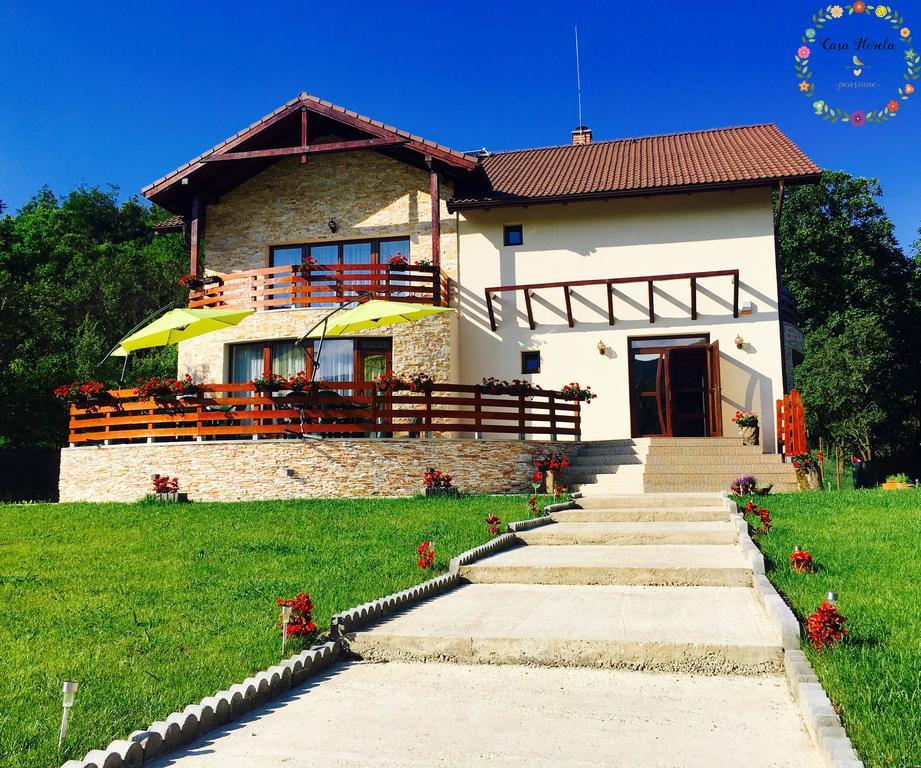 Pensiunea Casa Florela Capusu Mic ภายนอก รูปภาพ